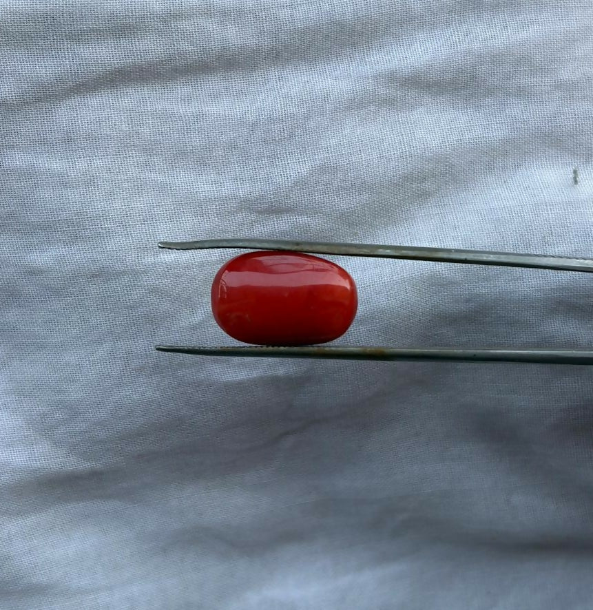 Red Stone Sarafa Bazar India