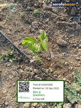 Shri Ji Jewellers's tree Sarafa Bazar India