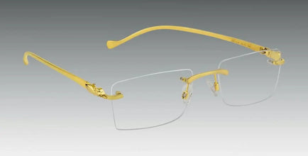 Gogles Sarafa Bazar India