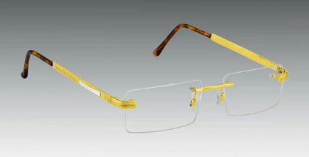 Gogles Sarafa Bazar India