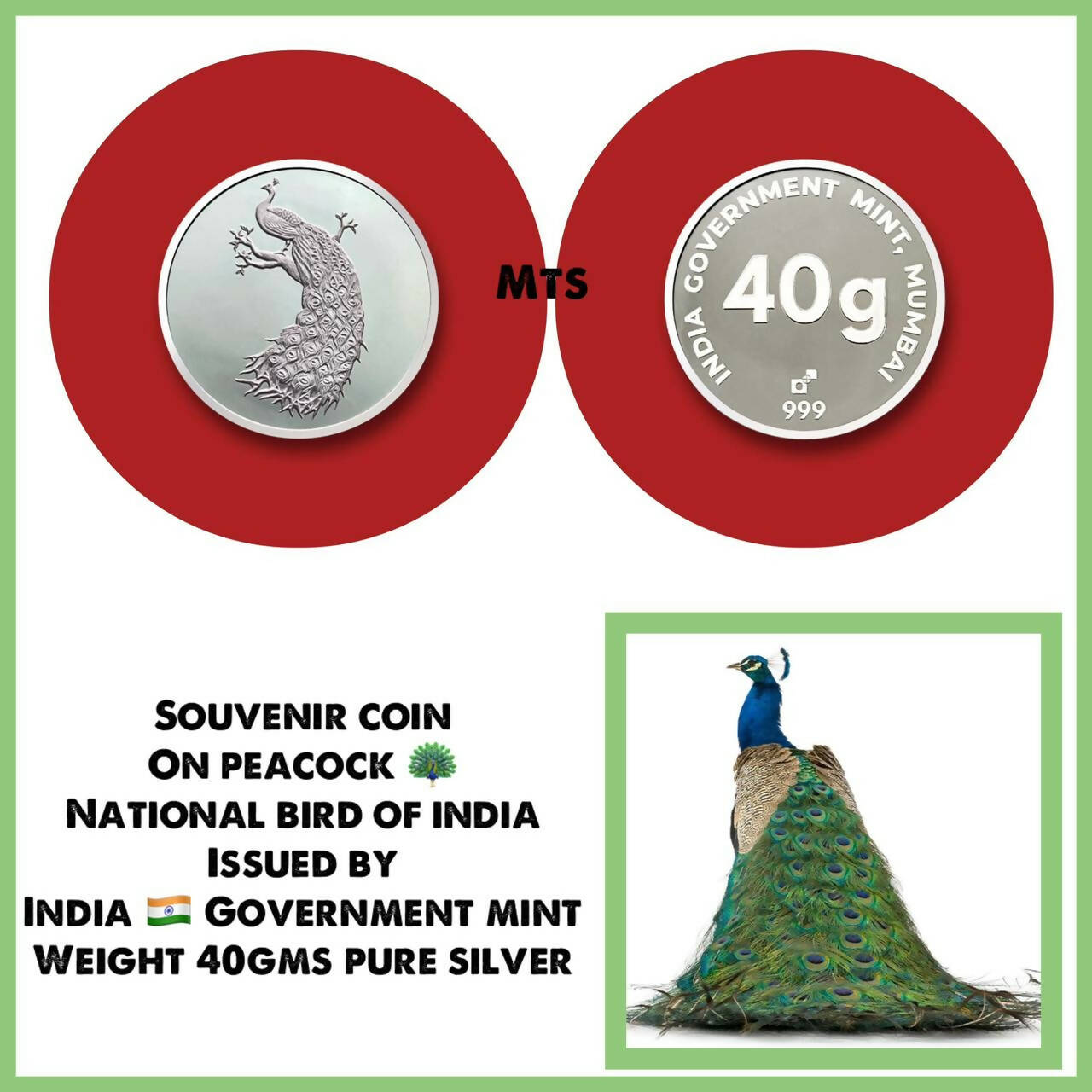 Souvenir Coin On Peacock National Bird of India 1 Sarafa Bazar India