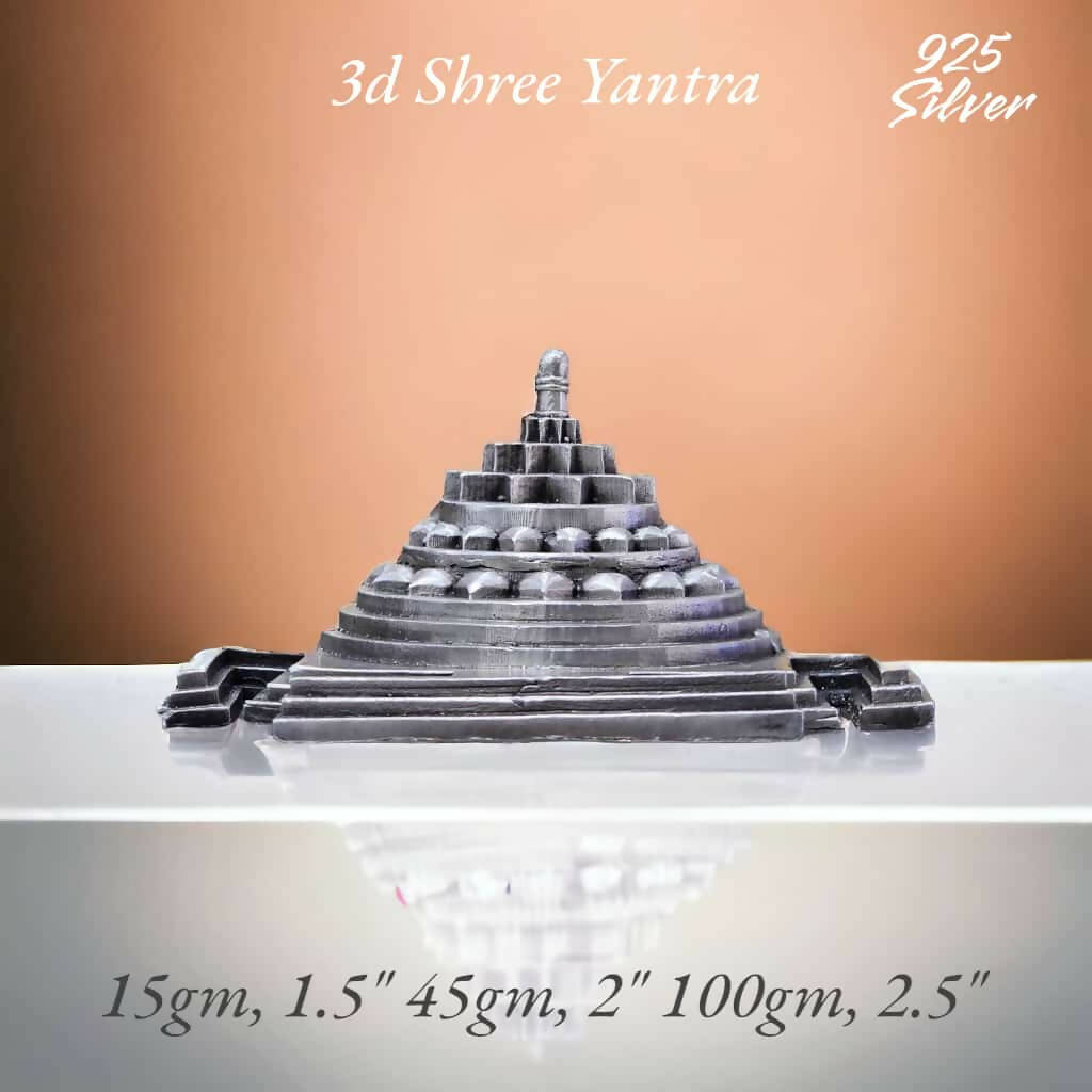 925 Silver 3D Shree Yantra Sarafa Bazar India