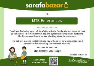 MTS Enterprises's tree Sarafa Bazar India