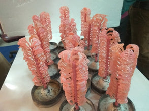 Ladies rings Sarafa Bazar