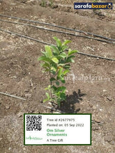 Om Silver Ornaments's tree Sarafa Bazar India